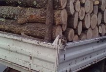 Camioane încărcate cu lemne, oprite de Poliție. Nereguli: Defecțiuni tehnice și tonaj neregulamentar pe poduri!