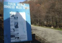 POPASURI GORJENE – PARCURILE NAŢIONALE DE PE JIUL DE SUS