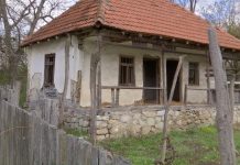 Educaţia…şi Lecţia de viaţă! – Depopularea mediului rural prin sărăcie şi a României prin pandemie! – ,,Civilizaţia română sătească închide în ea un ritm de valori şi o ordine proprie, plină de bogate învăţăminte”!