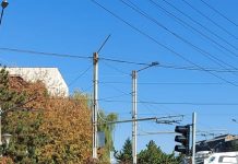 Șoferul TIR-ului care a tamponat o altă mașină, la Târgu Jiu, nu avea permis de liberă trecere!