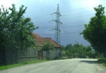 FILOZOFII AUTUMNALE – „In vino veritas”