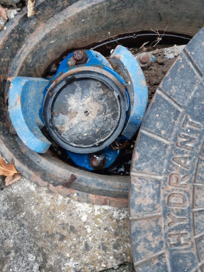 257733370_425878425778704_3525767169946527448_n