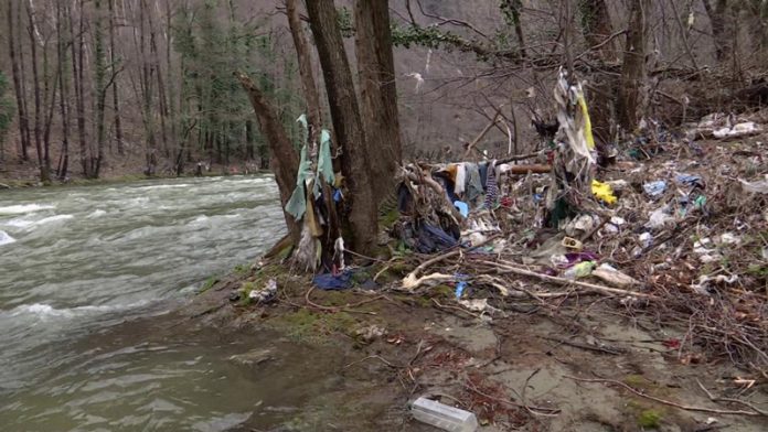 45e2bf9fde94d8b08c59ea390973c736maxim