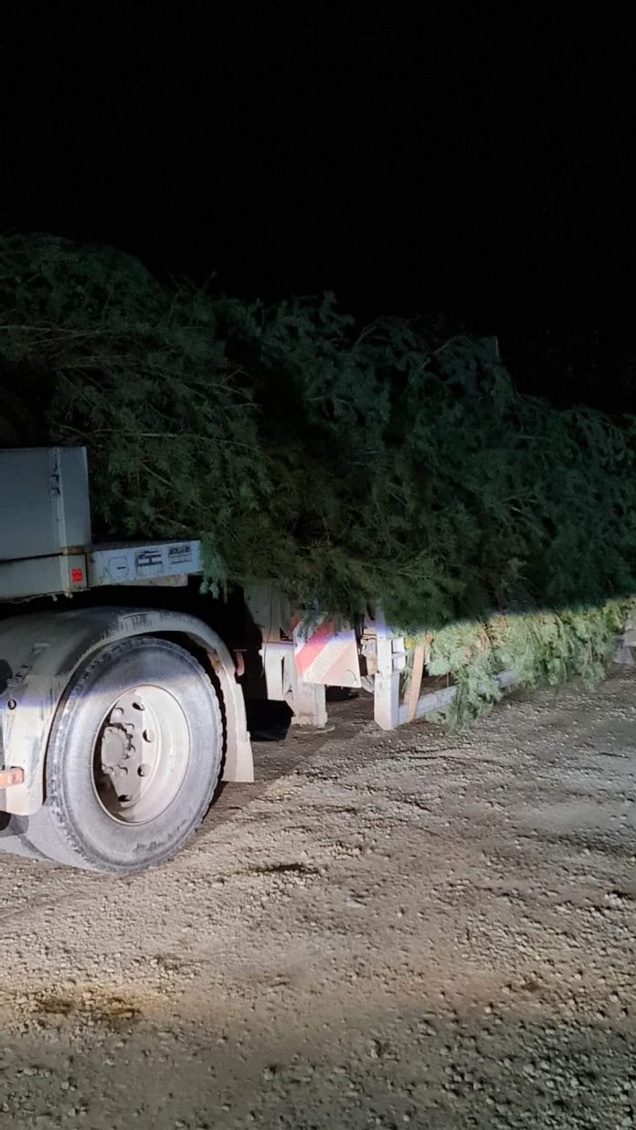 FB_IMG_1637427088329