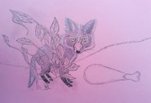 Povești din pădure – Lăcomiță