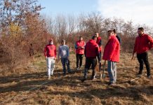 Campanie de împădurire a TSD, la Săulești