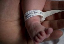 Osemintele unui bebeluș, descoperite îngropate pe o proprietate din Licurici! Acuzații de pruncucidere