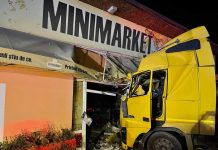 Accident Draguțești: Șoferul a încercat să evite un câine dar era și băut