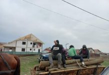 Jaf în pădurea din spatele Avicola! Poliția a făcut dosar penal, hoții prinși de cetățeni din Preajba