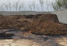 Agricultura pe înțelesul tuturor – Gunoiul de grajd – o comoară a fermierilor