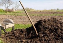 Agricultura pe înțelesul tuturor – Gunoiul de grajd – o comoară a fermierilor