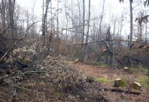 Președintele unei obști, judecat pentru un prejudiciu de peste 3 milioane de lei! Instanța, sesizată legal de către DNA!