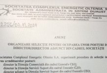 CEO, selecție pentru cele mai bănoase funcții de directori! 13 ȘEFI vor avea contracte pe perioadă nedeterminată!