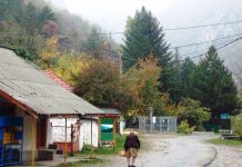 „Este mult mai uşor să previi un incendiu decât să-l stingi”