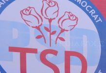 Propunerile tinerilor social-democrație privind inserția acestei categorii pe piața muncii