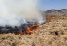 Amenzi mai mari pentru arderile ilegale de vegetație