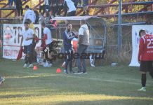 Chiriac, mulţumit de activitatea de la Viitorul 2: Copiii clubului au progresat de la meci la meci