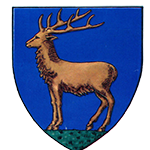 Ce vor vota consilierii județeni, înainte de Crăciun!