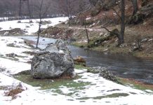 Atitudini hivernale – Pe Motru în sus