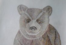 Povești din pădure – Rotofei, ursulețul pofticios