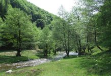 Legende, evocări şi superlative din lumea de piatra a Jiului de Sus (II)