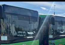 Programul curselor TRANSLOC în perioada Crăciunului