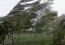 Informare meteo de vânt în toată țara