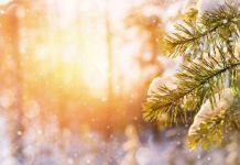 Vreme bună în prima lună a anului 2022