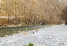 VIDEO: Rețeta săptămânii – Fabi’s Kitchen: File de păstrăv cu risotto și spanac. Gătit lângă Mănăstirea Lainici