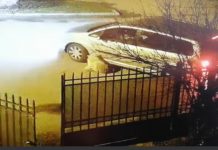 Foto/Cruzime fără margini, în Târgu Jiu: Câine călcat cu mașina de mai multe ori