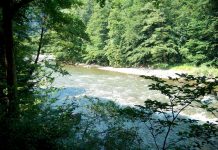 Defileul Jiului, o minune a naturii