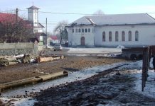 Popasuri hivernale – În ţinutul izvoarelor