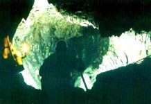 Drumuri gorjene – Lumea de piatră a Sohodolului