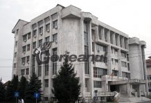 Doi ani de pușcărie pentru cinci arbori tăiați ilegal!