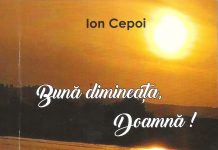 Ion Cepoi în „atelierul de vise” – o postfaţă de Ion Popescu-Brădiceni