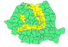 Cod galben de viscol la munte