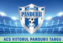 Nu mai avem „noroc bun” la fotbal! Insolvență pentru Viitorul Pandurii!