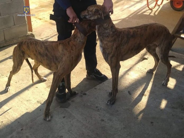 274758858_480649316855000_7666107083923599460_n