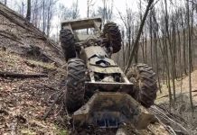 VIDEO: Accident de muncă mortal într-o pădure din Gorj!