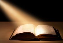 Educaţia…şi Lecţia de viaţă! – ,,E zestrea ce pe toţi ne-mparte, în cei cu cărţi şi cei cu carte!”.