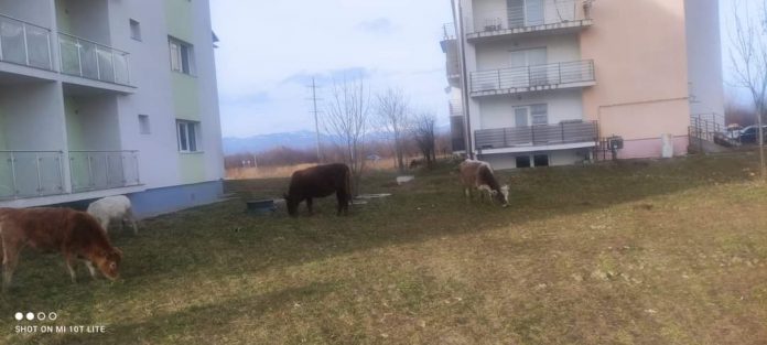 FB_IMG_1643803250698