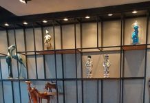 Târgu Jiu: Polițiștii l-au prins pe agresorul de la Josper!