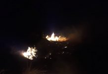 Numeroase incendii de vegetație în Gorj