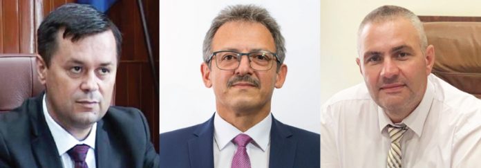 Poza-Romanescu---morega