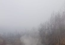 CE Oltenia, două amenzi pentru poluare