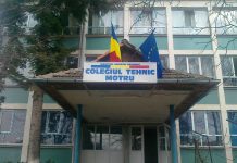 Surpriză: Directoarea Rușeț, cercetată disciplinar, participă la concursul pentru funcția de director de liceu