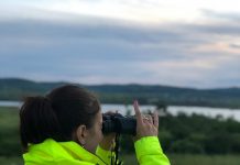 Gorj: Amenzi de 3,5 milioane lei pentru încălcarea legislației de mediu