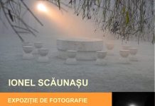 Expoziție de fotografie, la Muzeul Național „Constantin Brâncuși”