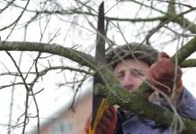 Agricultura pe înțelesul tuturor – Lucrări agricole în livada și via aflate în repausul vegetativ