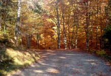 Natura și spiritul muntelui!